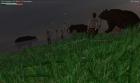 thumbs/wurm008.jpg