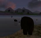 thumbs/wurm011.jpg