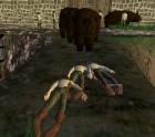 thumbs/wurm022.jpg